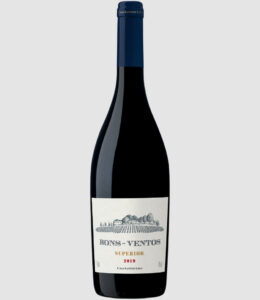 Bons Ventos Tinto Superior 750ml
